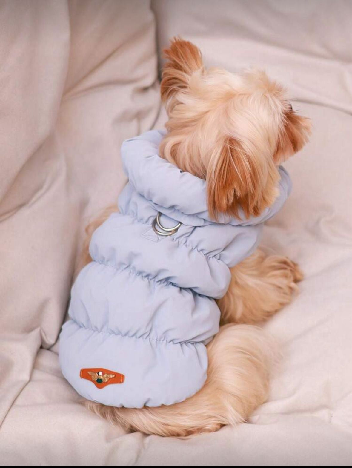 Soft warm dog clothes