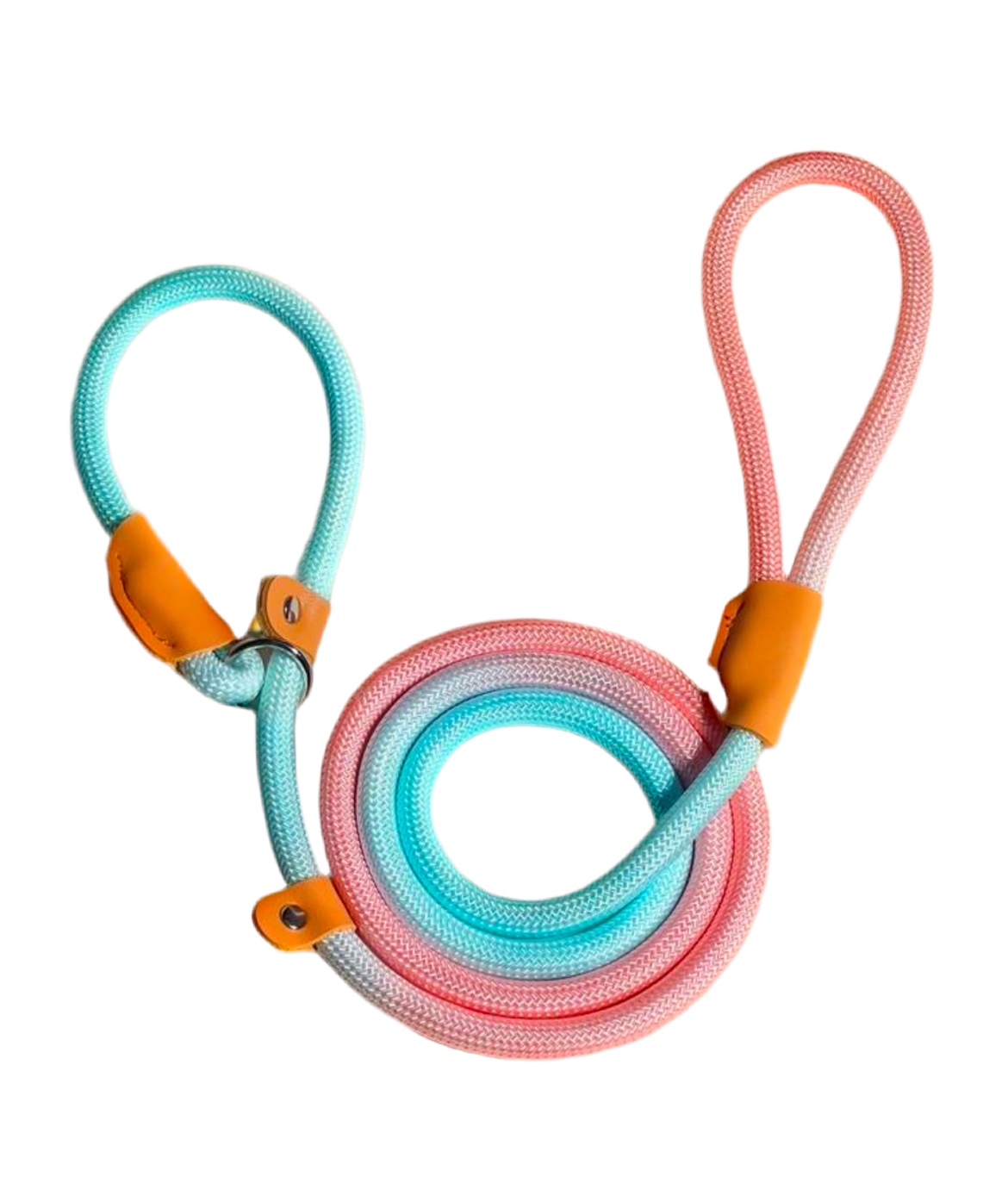 Dog Colorful Nylon Leash – Durable Pet Lead