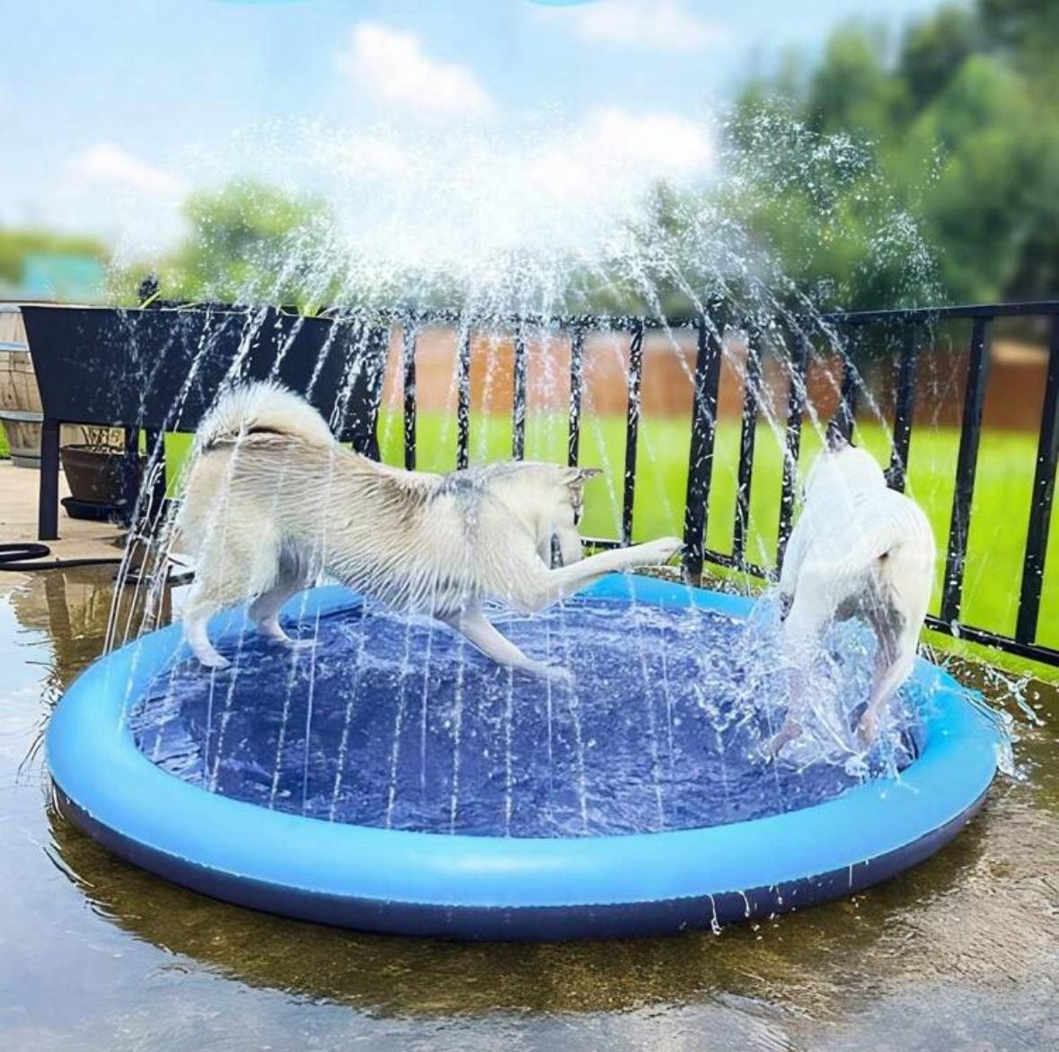 Dog Bath Pool