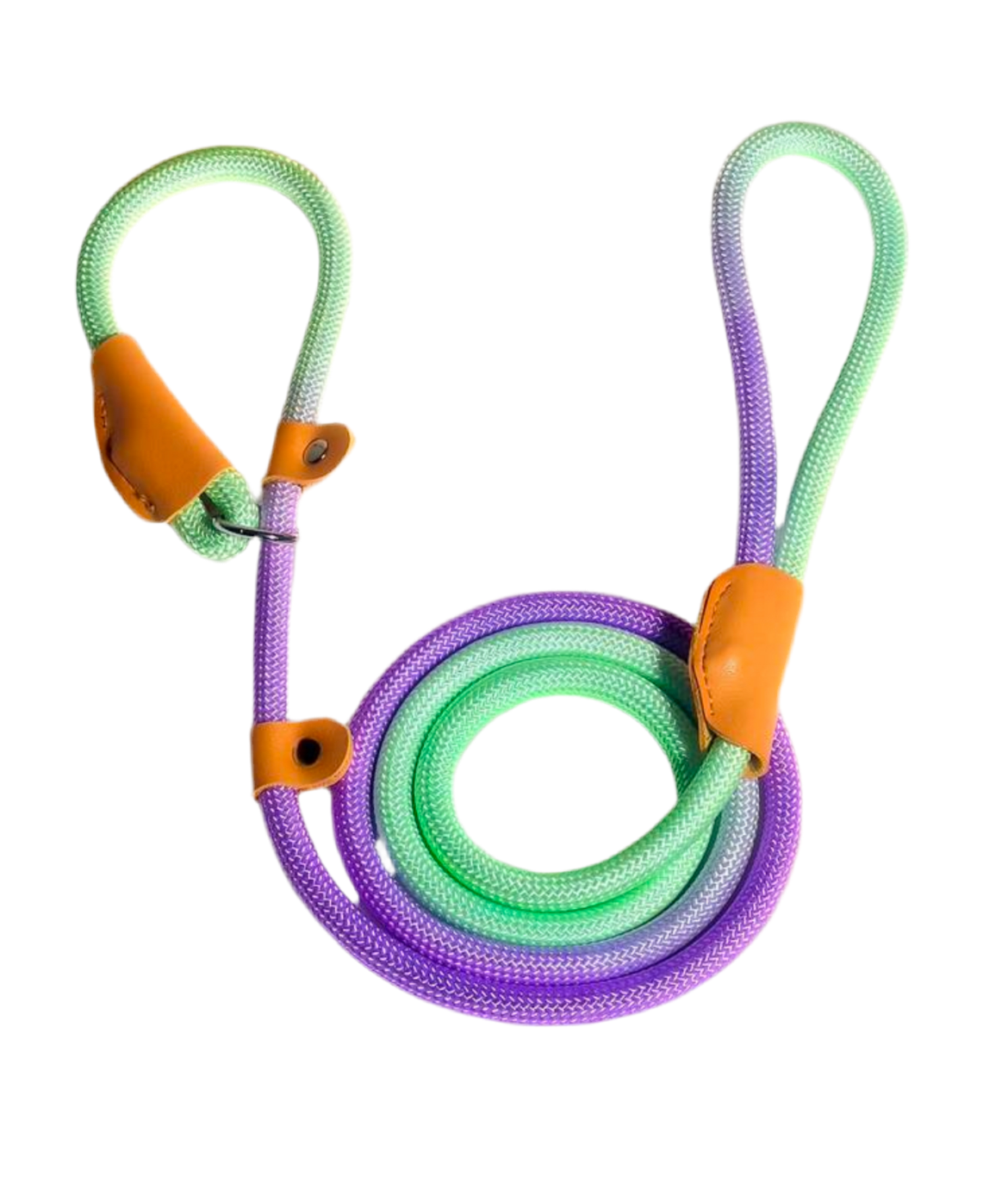 Dog Colorful Nylon Leash – Durable Pet Lead