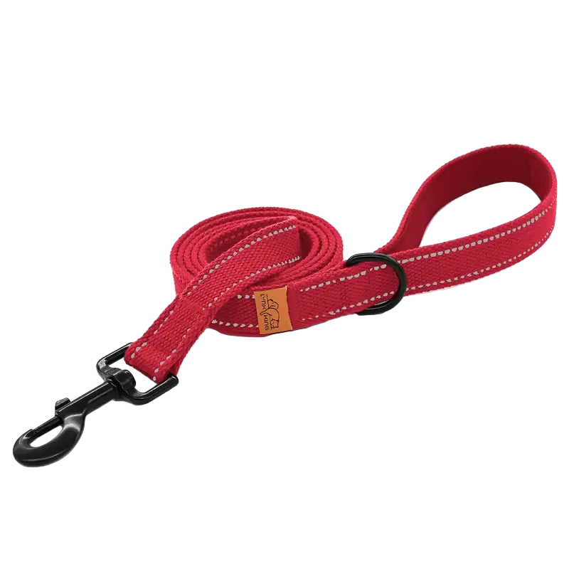 Lynx king Reflective Dog leash