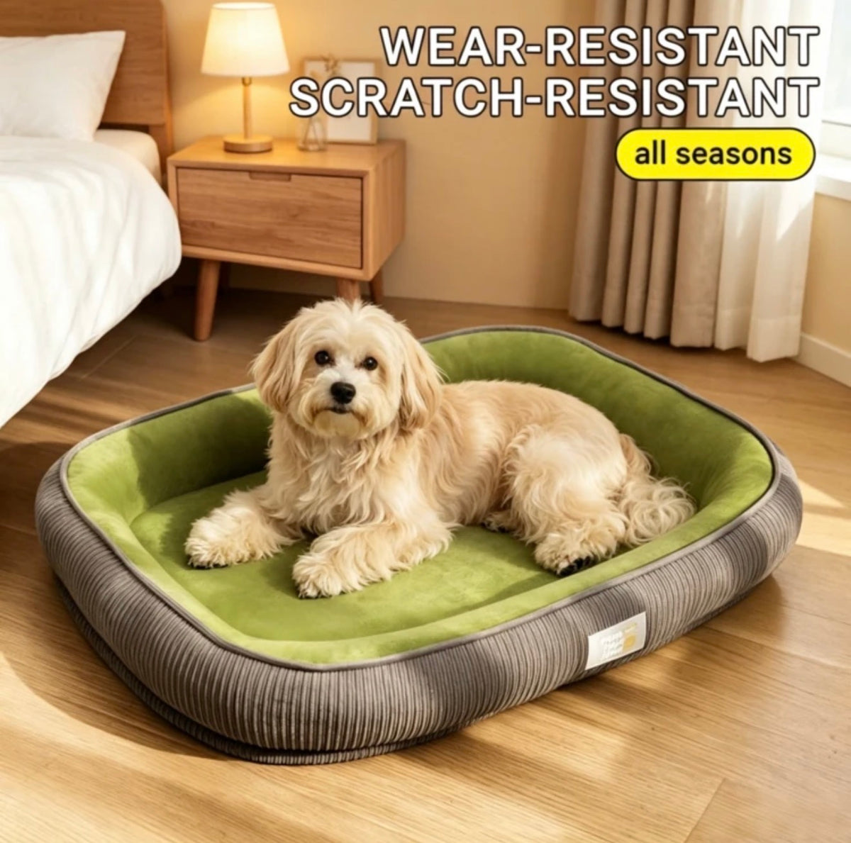 Bed. For small puppy.