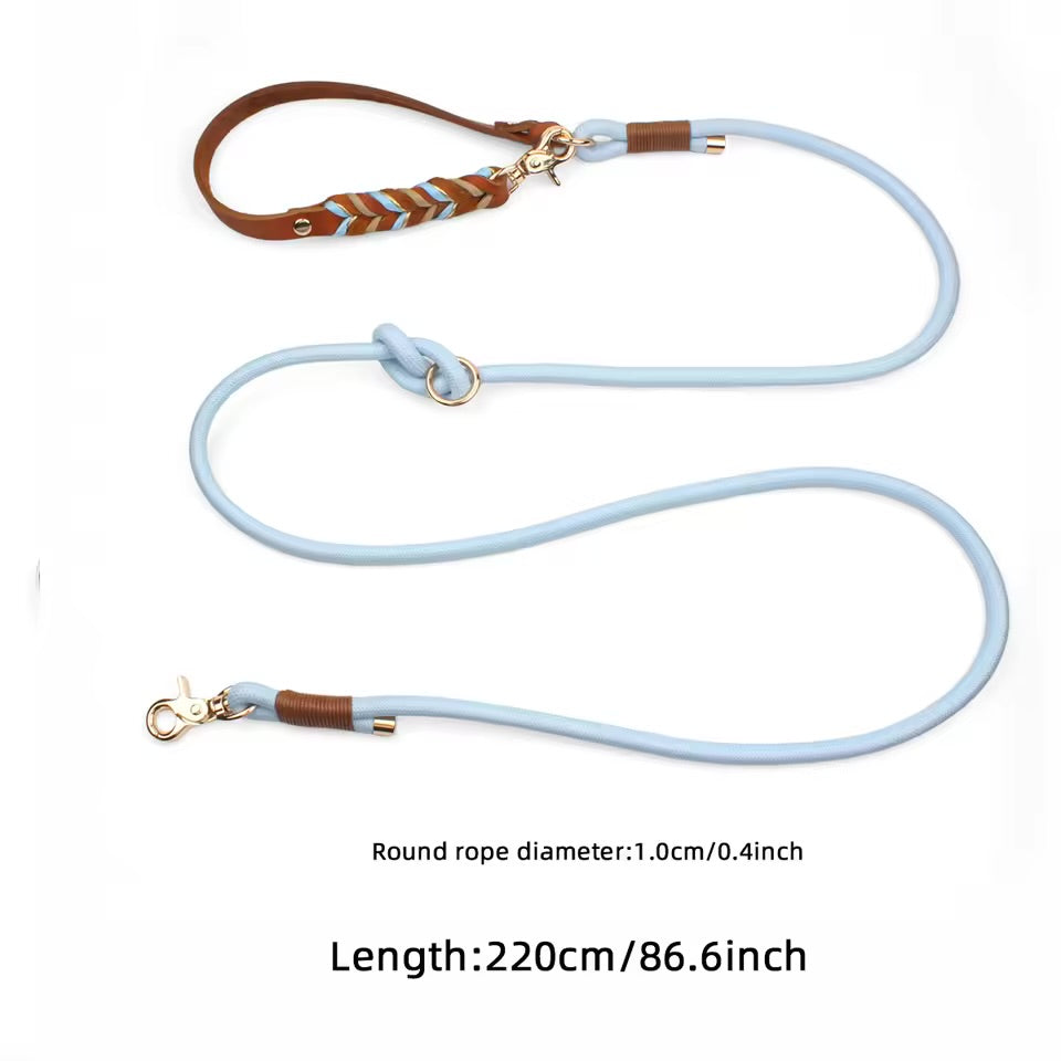 Nylon Dog Leash.
