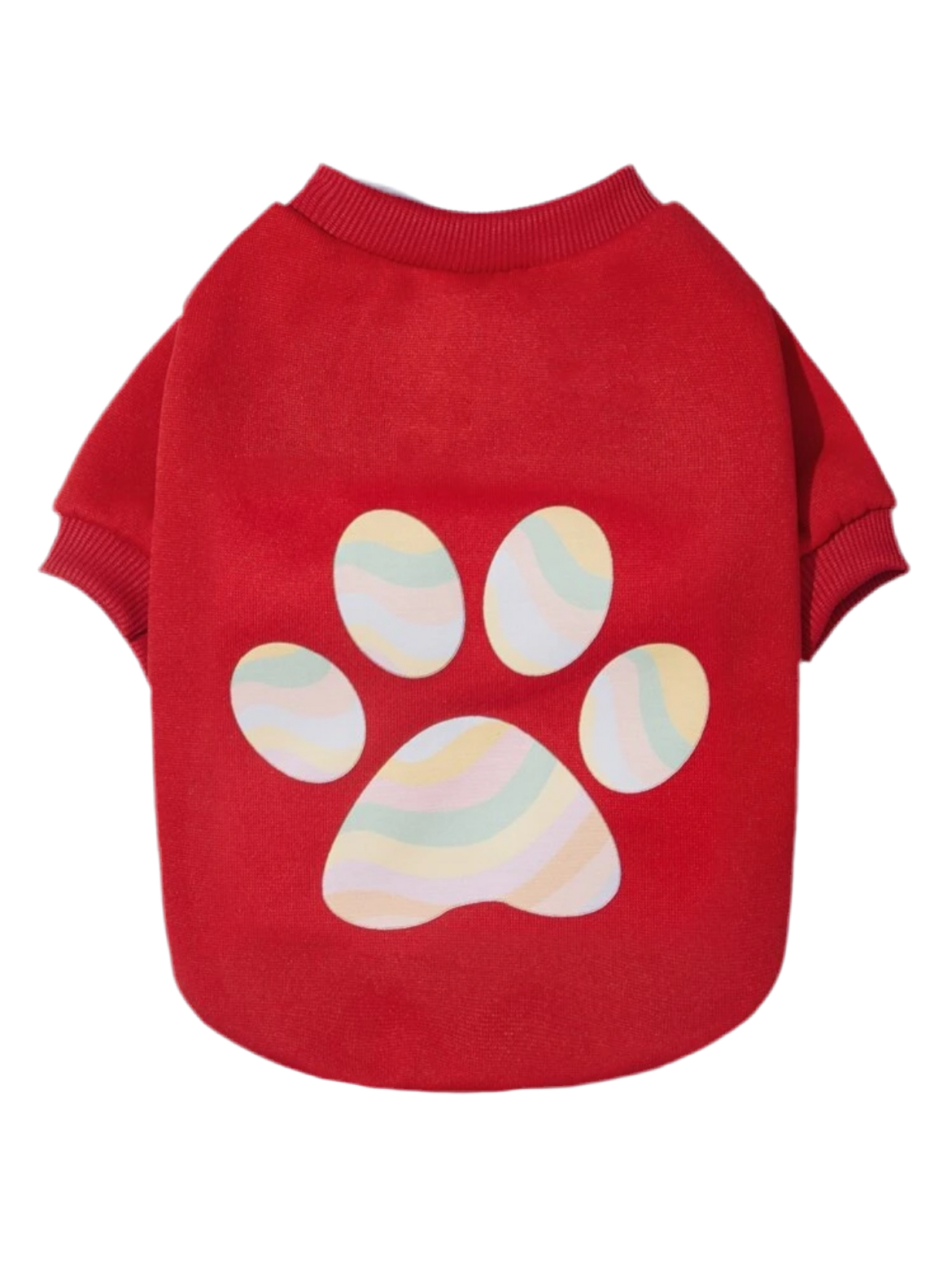Pet clothe.