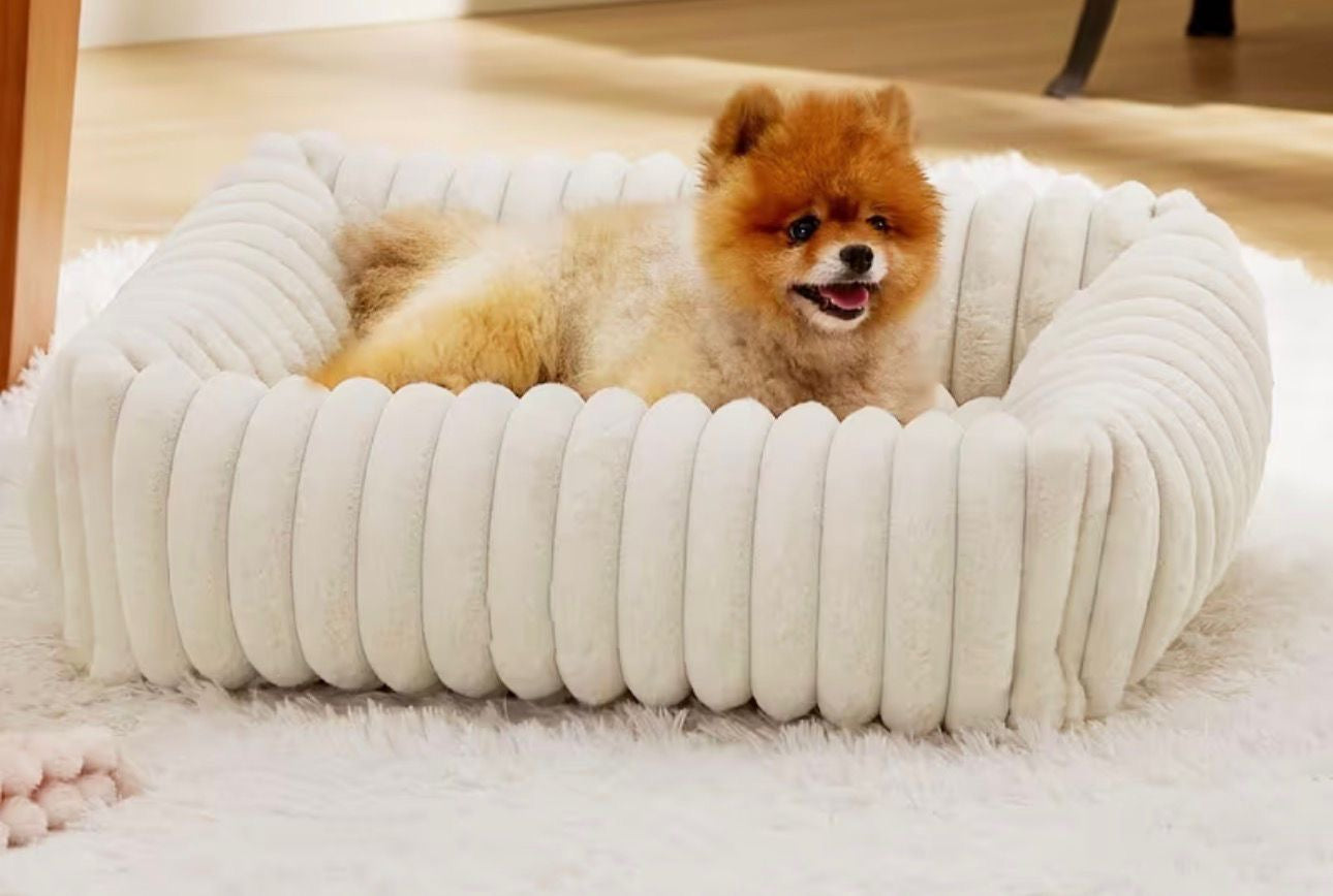 Dog bed