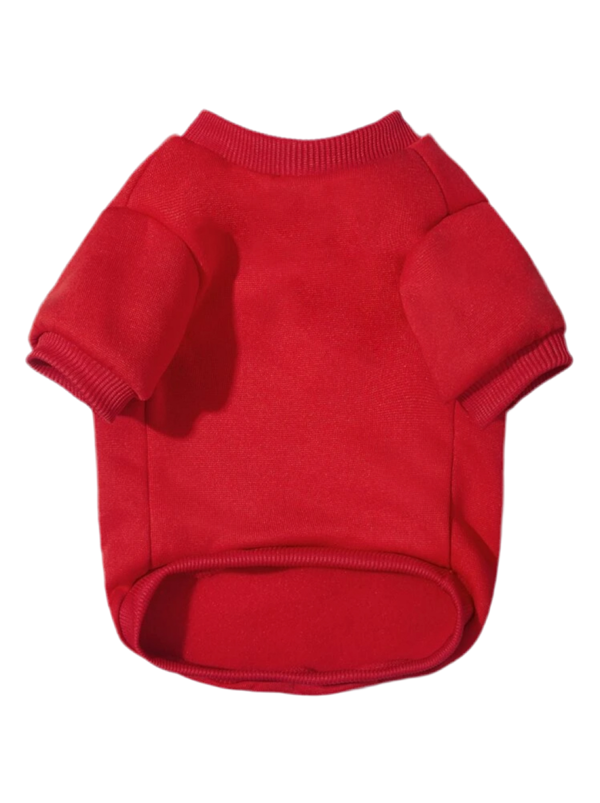 Pet clothe.
