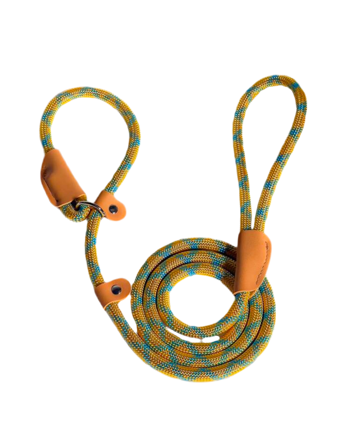 Dog Colorful Nylon Leash – Durable Pet Lead