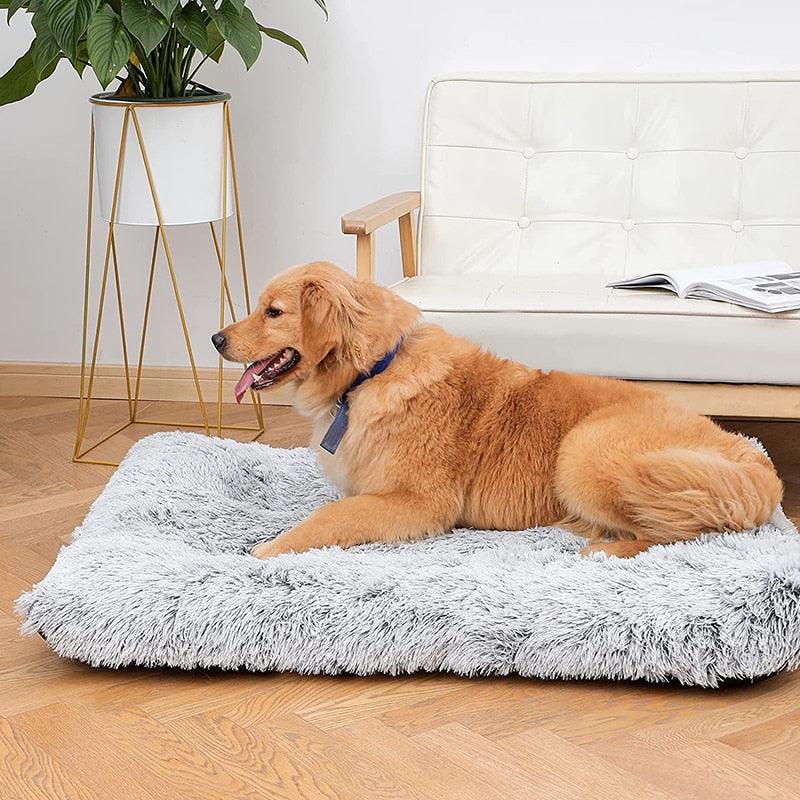 Luxury Plush pet Bed.