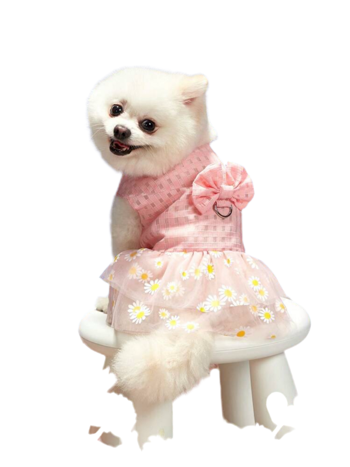 Pink female dog dress with floral bow – stylish and elegant outfit