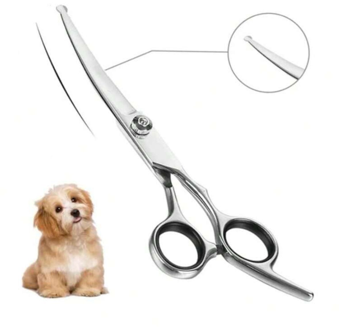 Grooming for Caesar