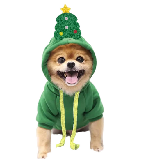Christmas Small Dog Hoodie.