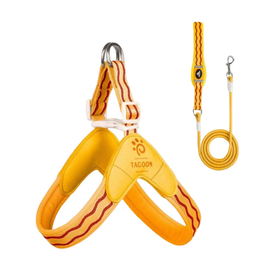 Spring New Dog Harness with Leash ,
