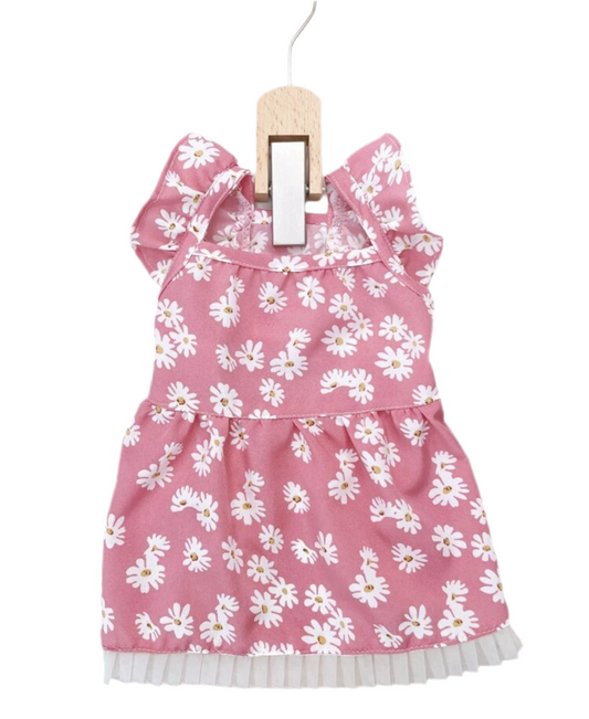 Female dress