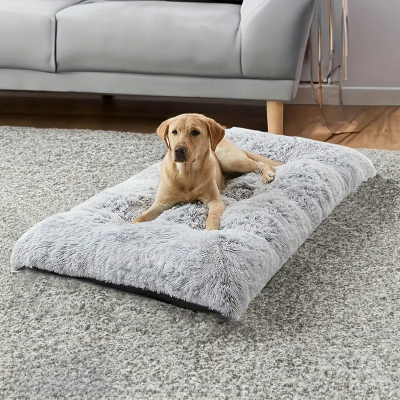 Luxury Plush pet Bed.