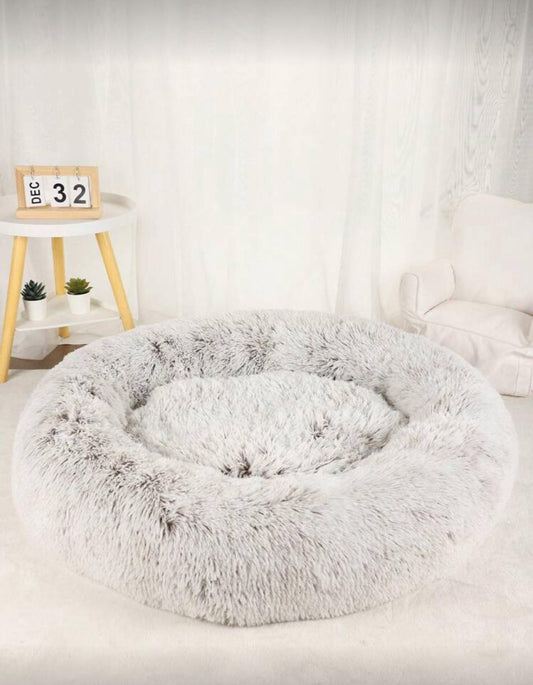 Bed. For small puppy.