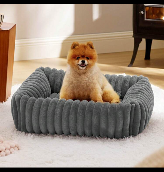 Bed for small puppy