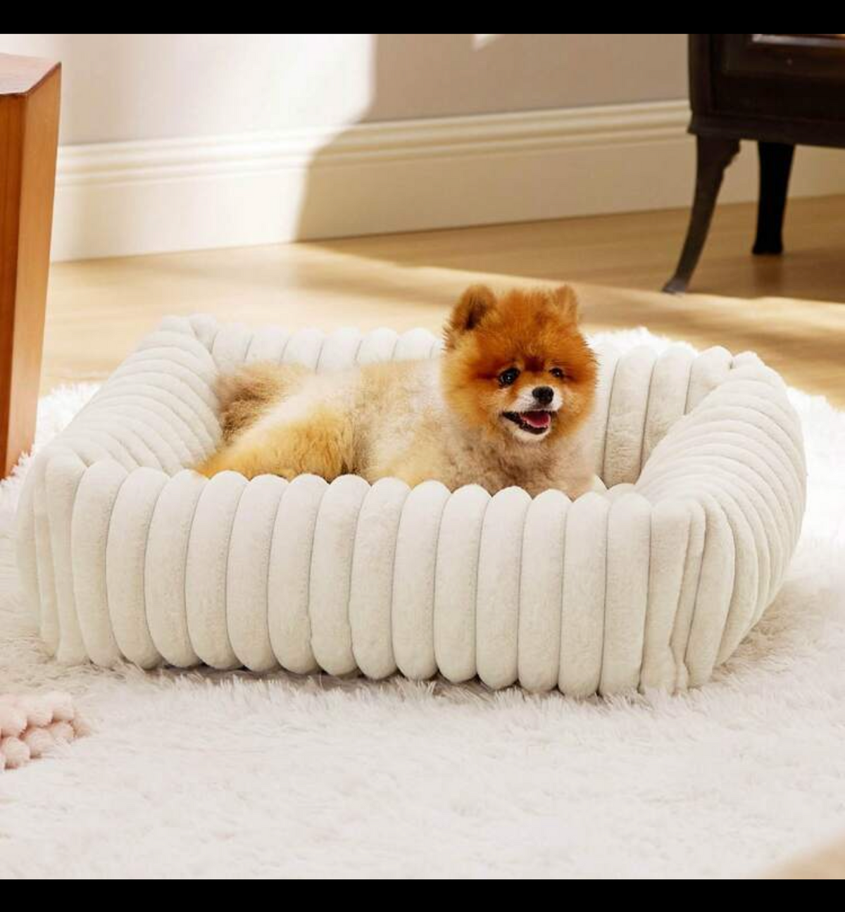 Bed for small puppy