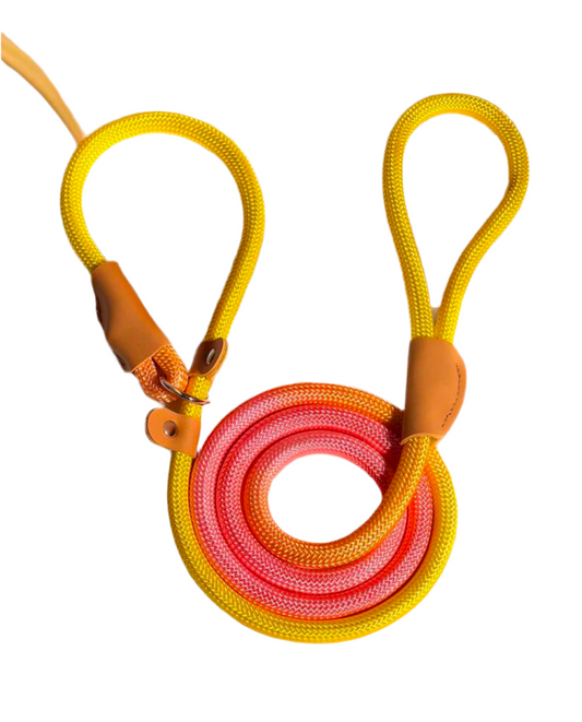 Dog Colorful Nylon Leash – Durable Pet Lead