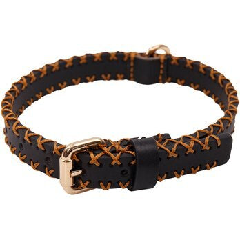 Adjustable metal Dog collar