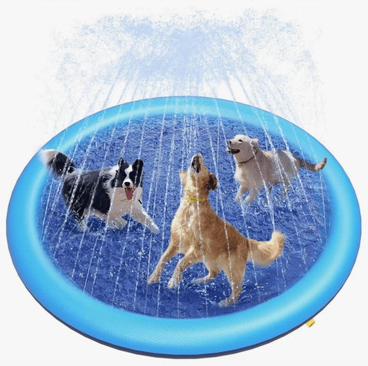 Dog Bath Pool