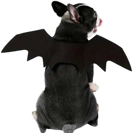 Pet wings Halloween Bat Costume.