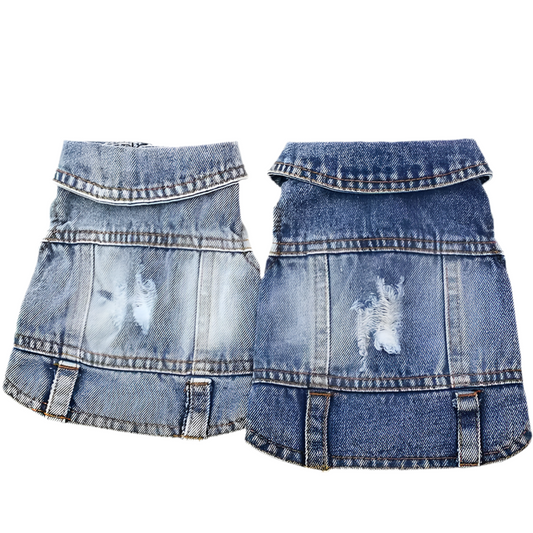 Cloth for puppy.