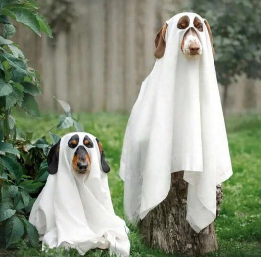 Halloween Dog Costume.