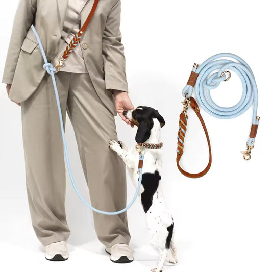 Nylon Dog Leash.