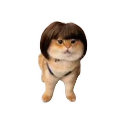 Pet Wig Cap – Bob Haircut Style for Dogs & Cats