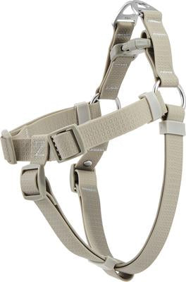 Leash and Harness