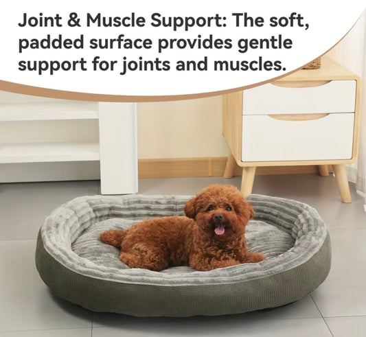 Dog bed