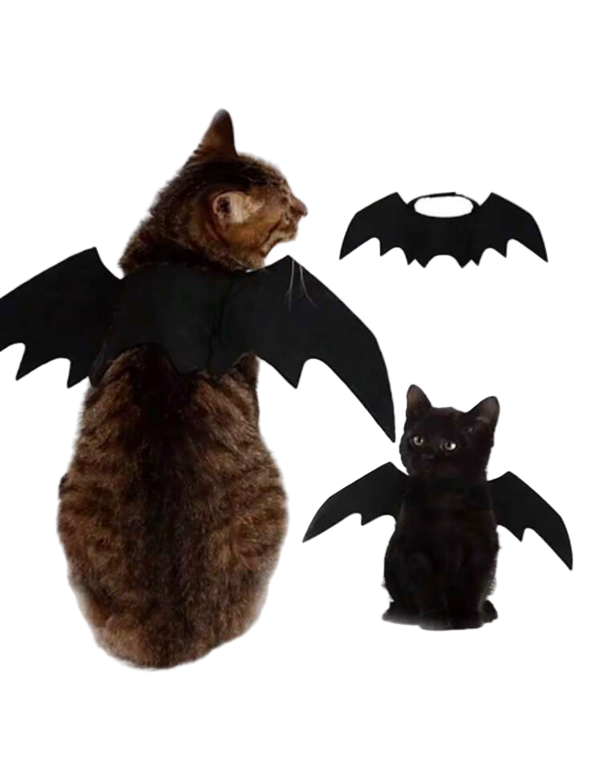 Pet wings Halloween Bat Costume.
