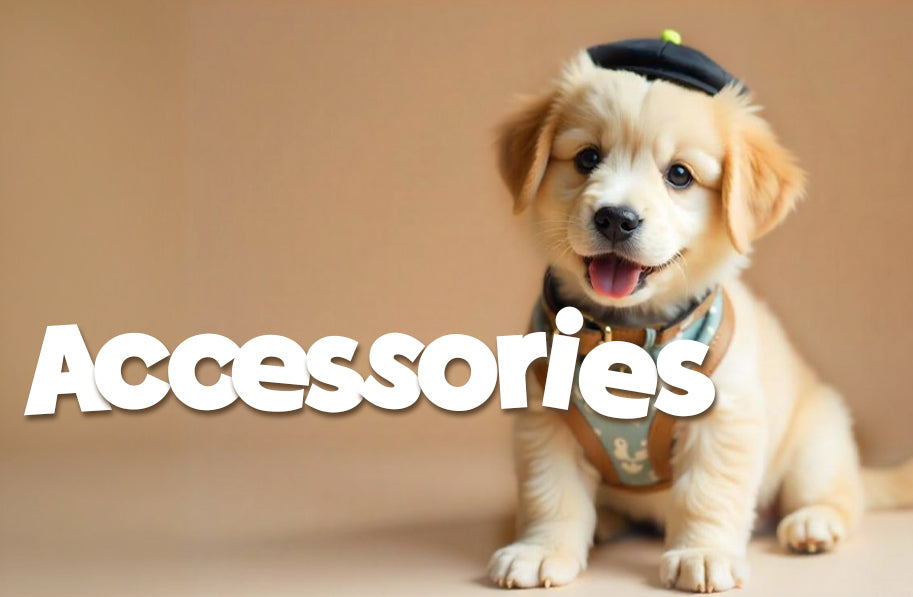 Dog collars, toys, and accessories in Kuwait - Stylish and practical
