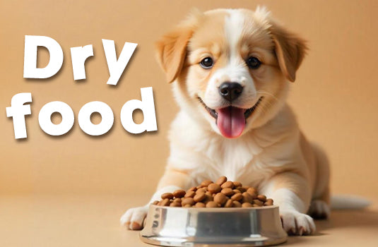 Dry dog food in Kuwait - Premium healthy kibble for all dog breeds