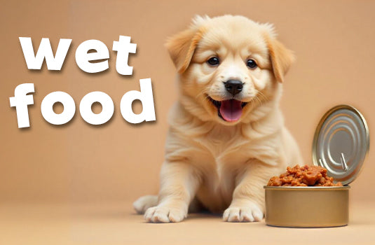 Wet dog food cans and pouches - Tasty meals for dogs in Kuwait