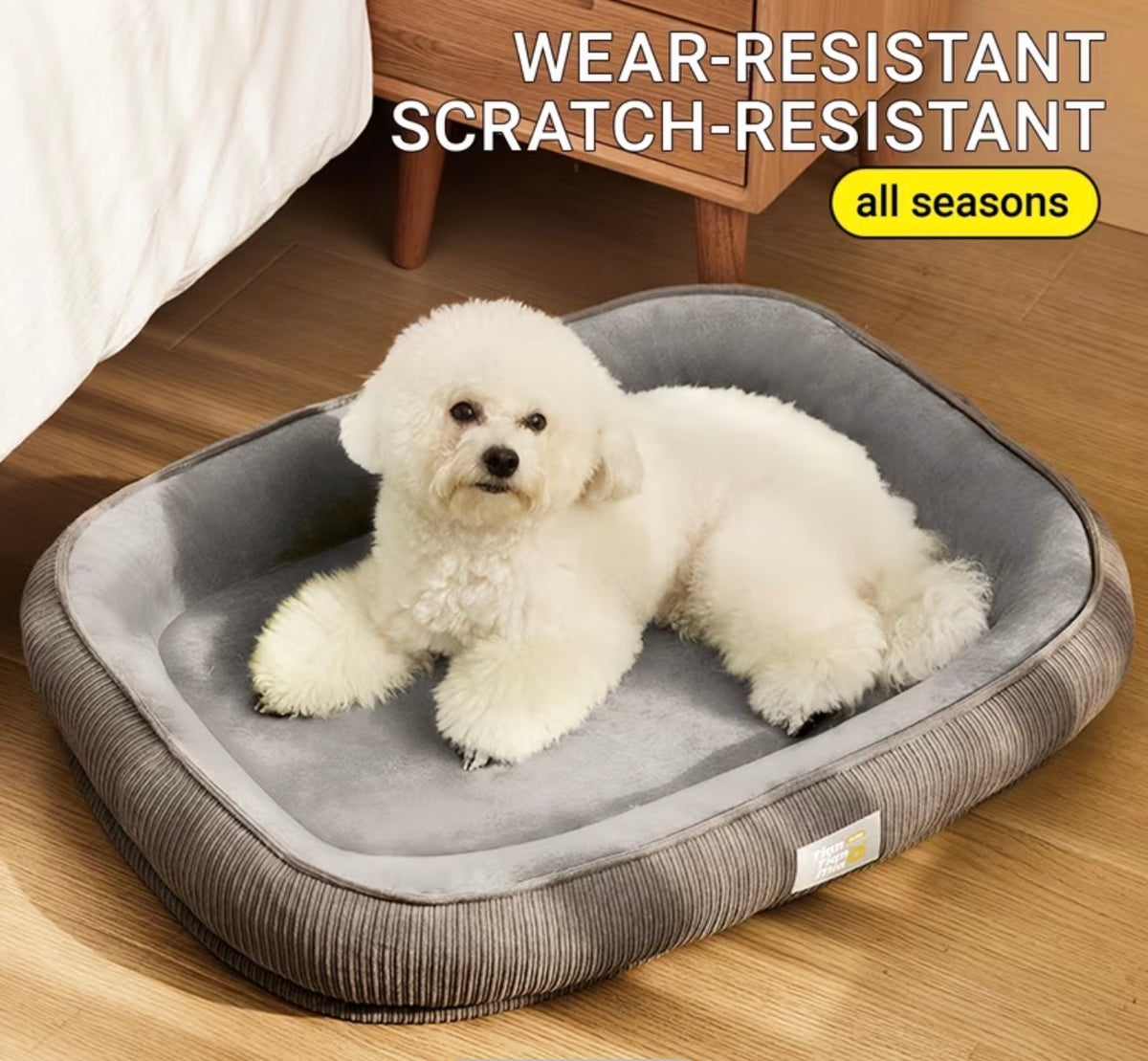 Bed. For small puppy.