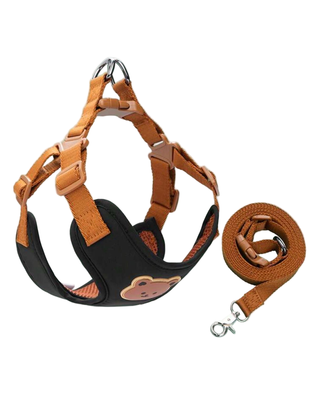 Leash and Harness
