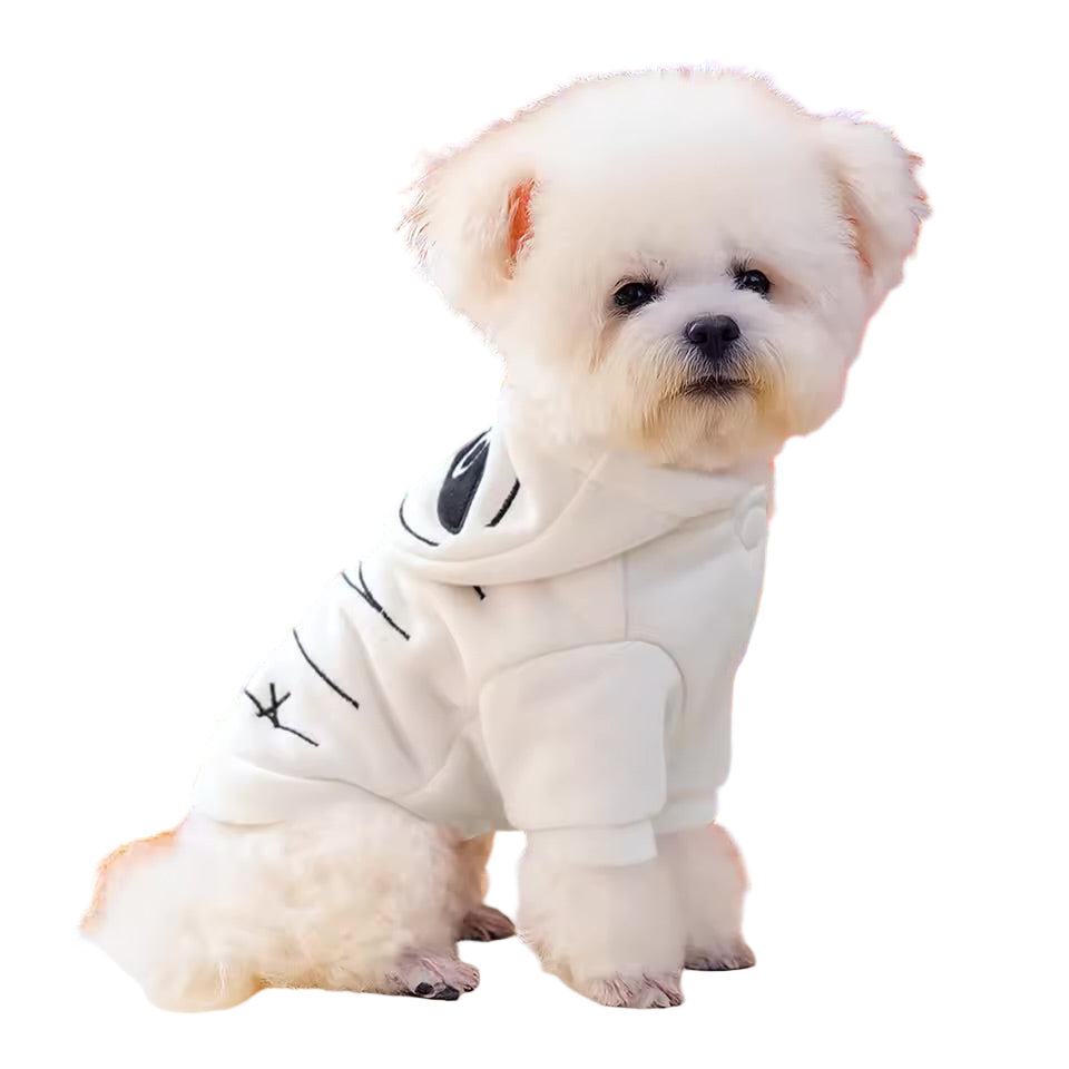 Halloween Costumes dress