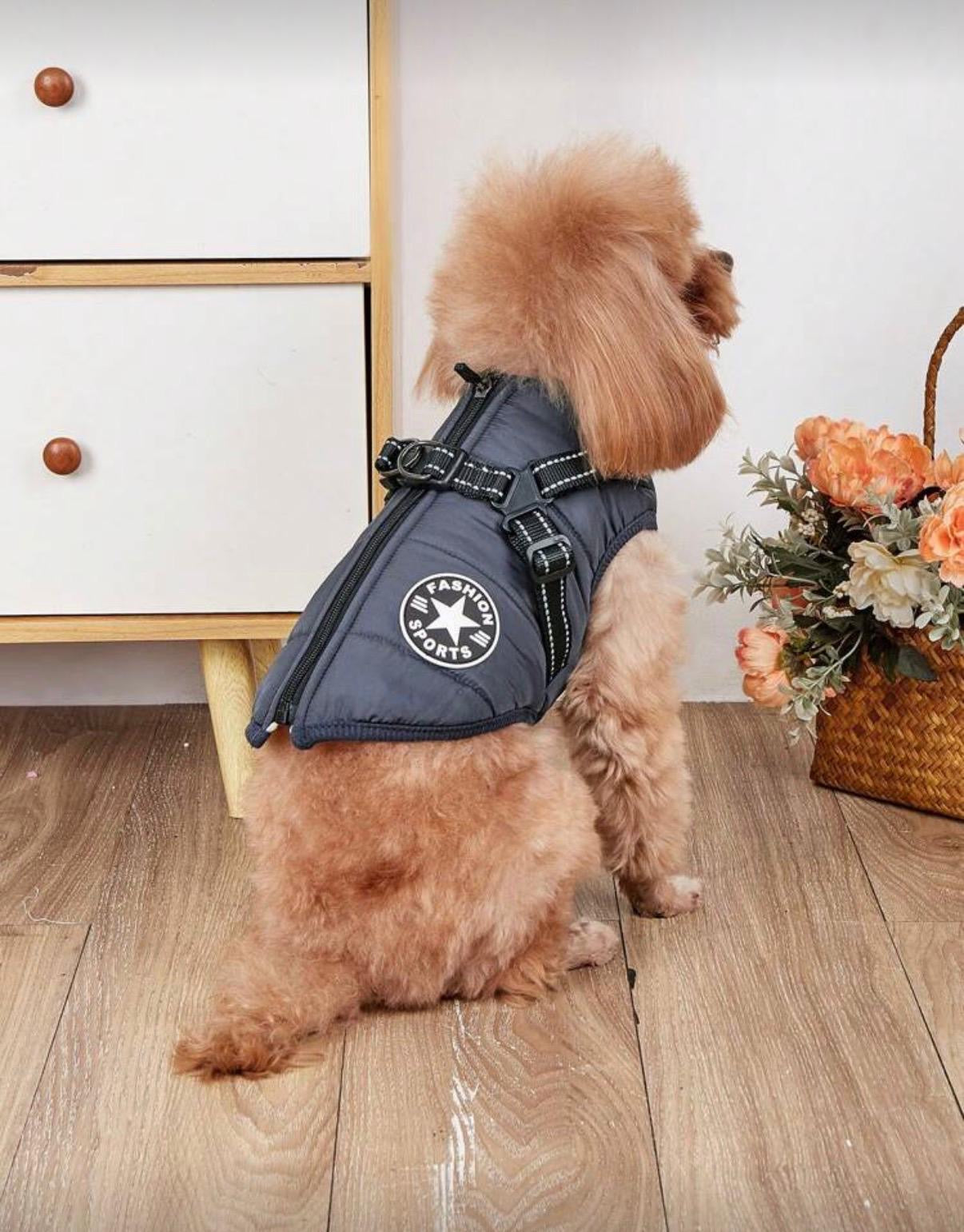 Waterproof Jacket with a Pet Pull Tab.