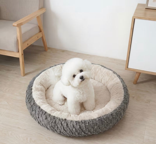 Sleep bed.
