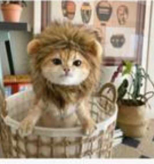 Cat Costume – Cute Lion Mane Wig Hat for Cats & Small Dogs