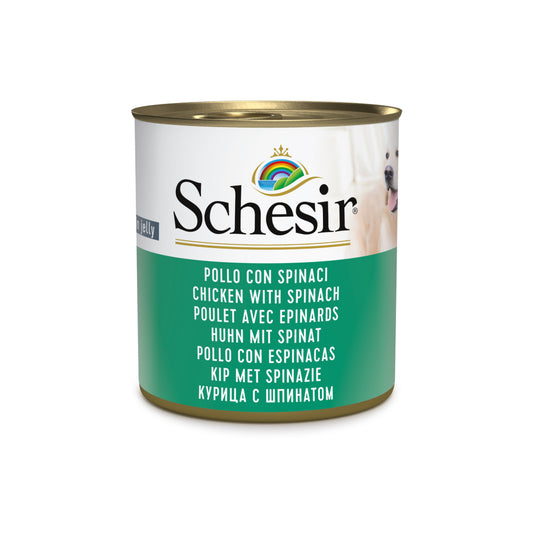Schesir Chicken with Spinach Wet Dog Food ,285g