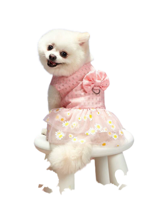 Pink female dog dress with floral bow – stylish and elegant outfit