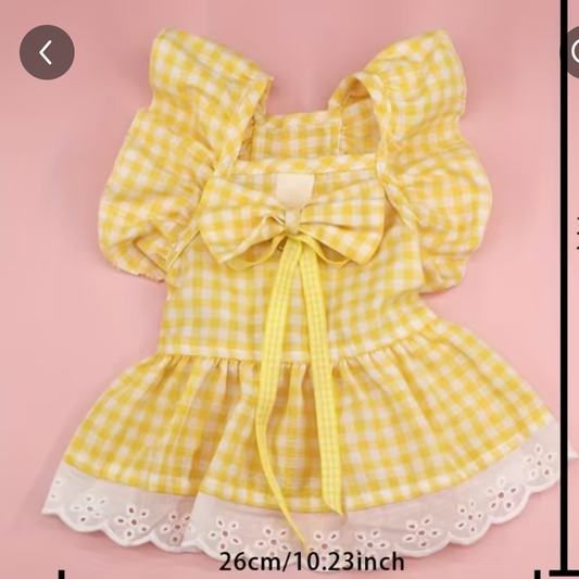 Dog clothes with rebbon